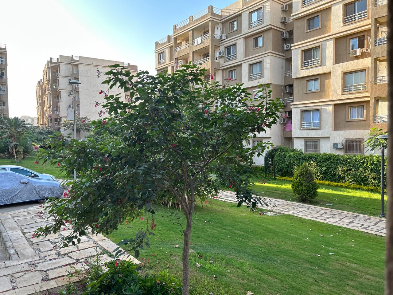 شقه ارضي 88م للبيع بتسهيلات علي 7 سنين فيb6استلام فوري 