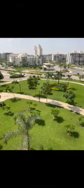 شقه للايجار قانون  في الb12 مجموعه 125 وايد جاردن