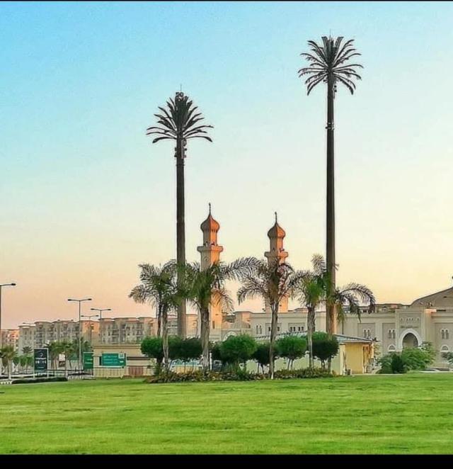 للايحار بالرحاب شقه مفروشه 136م 