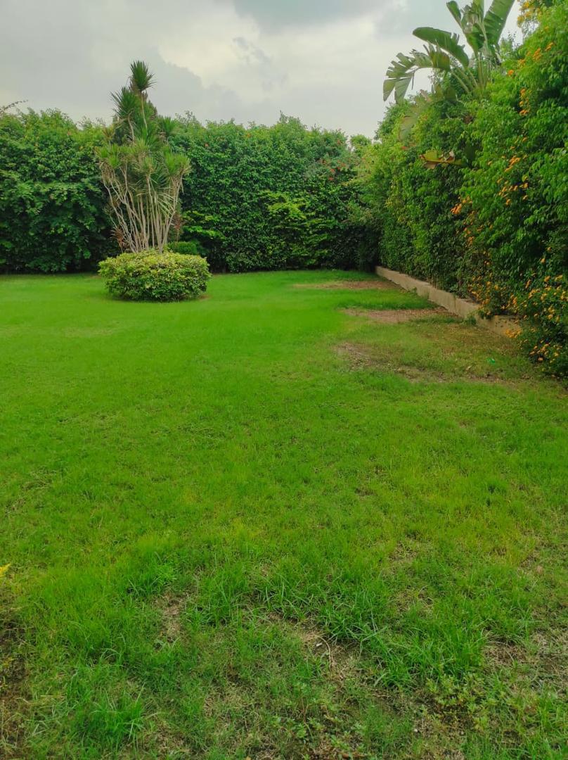 فيلا للايجار المفروش بمدينتى بمساحه ارض 1300م على وايد جاردن