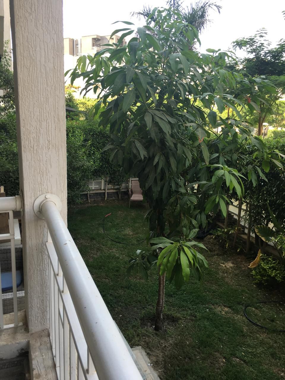 شقه  للبيع الكاش ارضي بجاردن في الB10 فيو جاردن106+70م جاردن