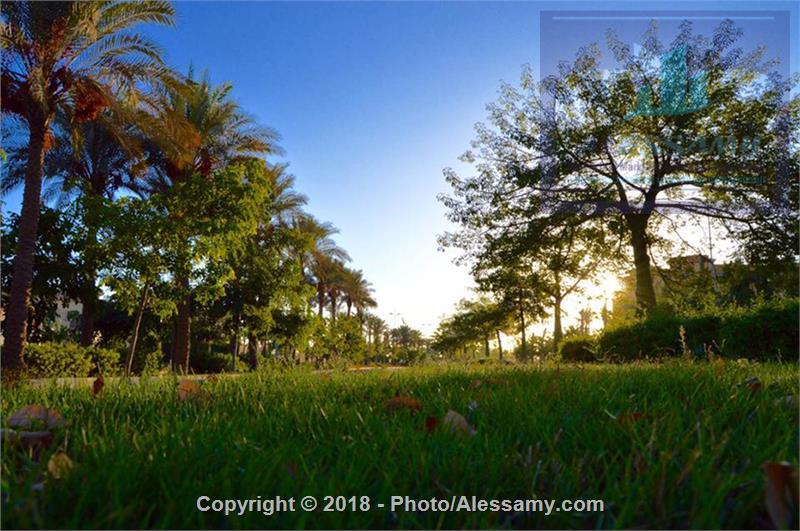 شقه للبيع في الB10 مجموعه 103 بمساحه كليه 115 متر